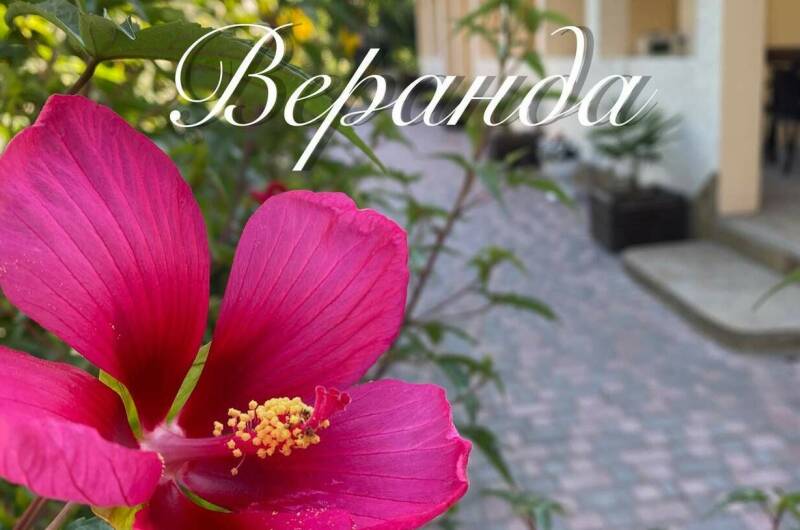 Изображение Изображение гостиницы &quot;Гостевой дом «Веранда»&quot; #6 #4