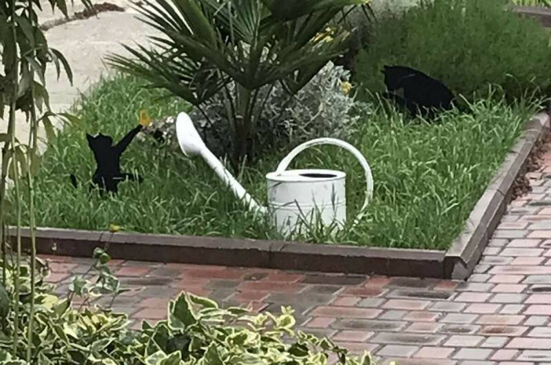 Изображение Изображение гостиницы &quot;Гостевой дом «Веранда»&quot; #7 #5