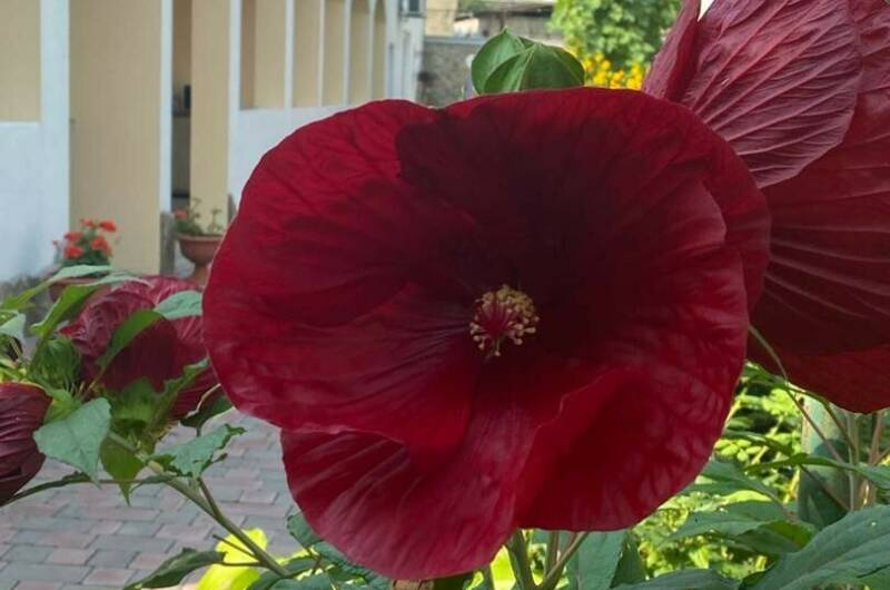 Изображение Изображение гостиницы &quot;Гостевой дом «Веранда»&quot; #8 #6