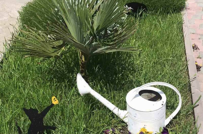 Изображение Изображение гостиницы &quot;Гостевой дом «Веранда»&quot; #10 #8