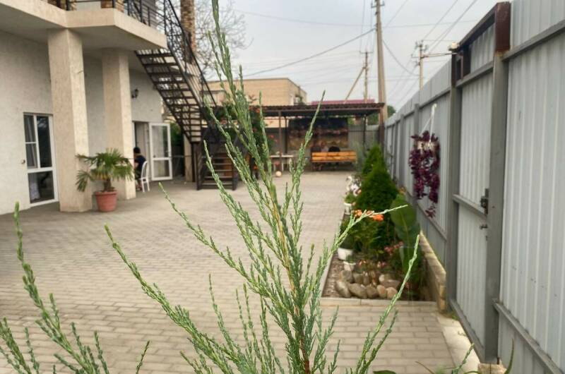 Изображение Изображение гостиницы &quot;Частный сектор «Ирис»&quot; #7 #5