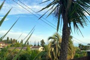 Изображение отеля / гостиницы "Гостевой дом «Вилла Блюз»"