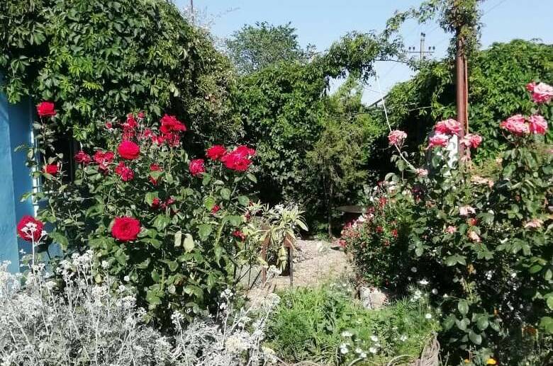 Изображение квартиры "Дом под ключ «У Пелагеи»" #1