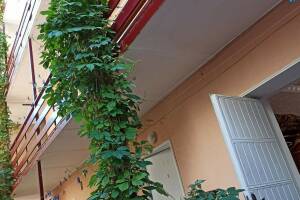 Изображение Гостевой дом «Хотэй» #10