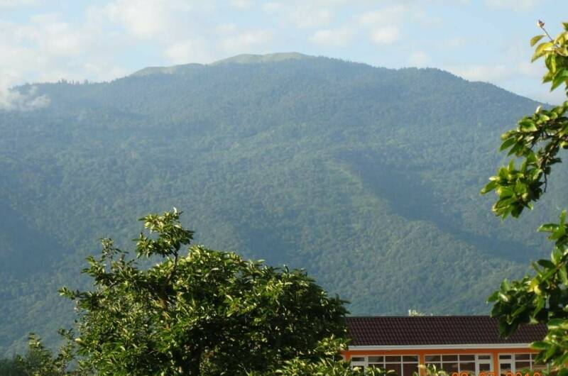 Изображение Изображение гостиницы &quot;Гостевой дом «У Риммы»&quot; #4 #2