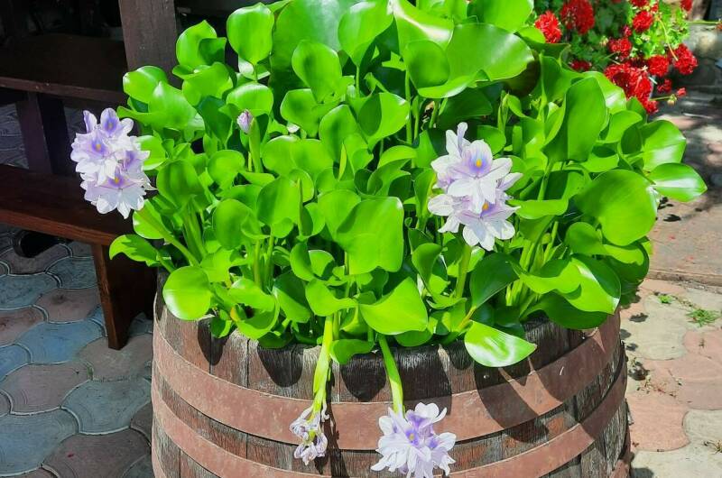 Изображение Изображение гостиницы &quot;Гостевой дом «Были-жили»&quot; #4 #2