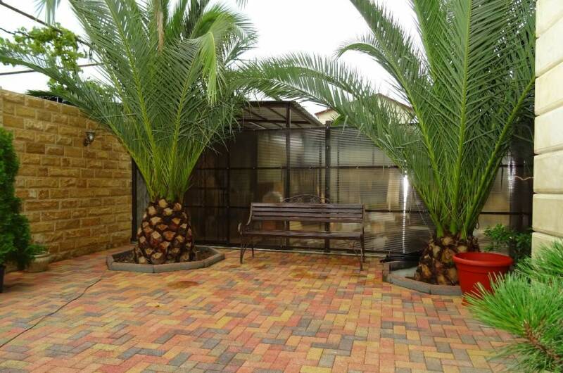 Изображение Изображение гостиницы &quot;Гостевой дом «Две Пальмы»&quot; #6 #4