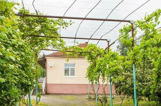 Изображение гостиницы "Гостевой дом «U Vili»" #1