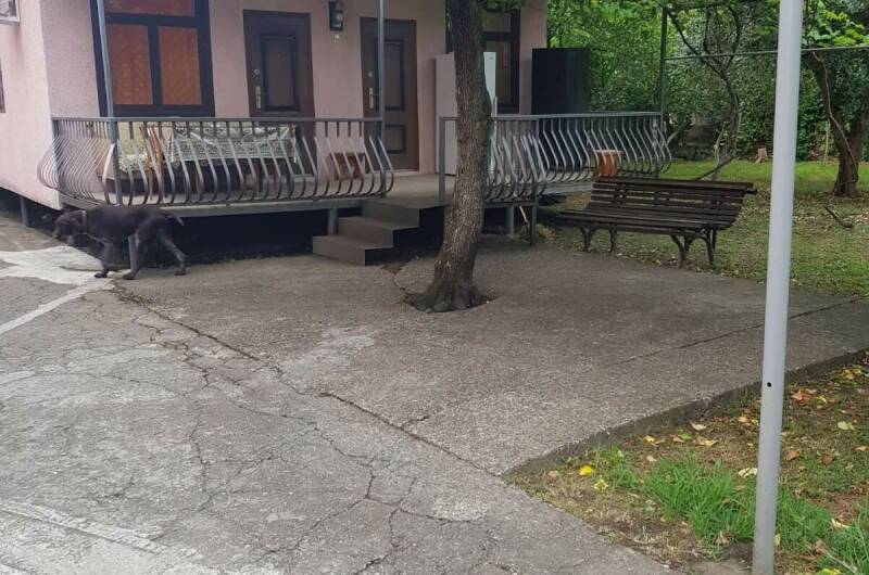 Изображение Изображение квартиры &quot;Отдельный дом под ключ&quot; #6 #4