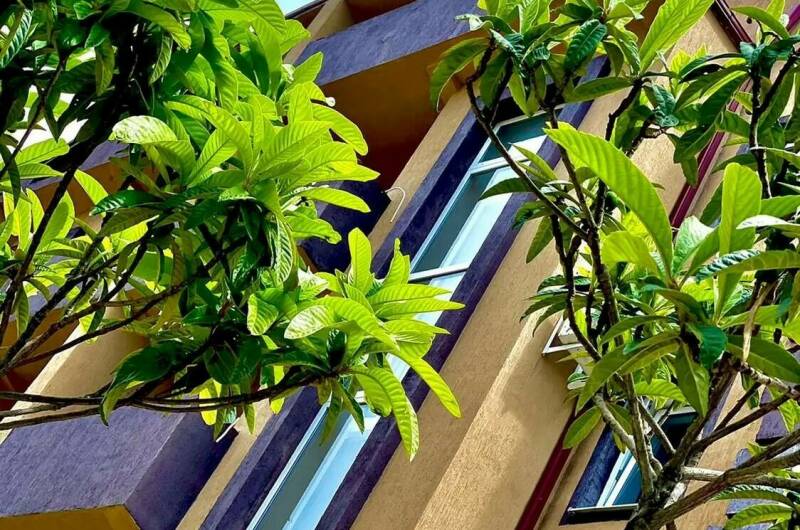 Изображение Изображение гостиницы &quot;Гостевой дом «Чародейка»&quot; #8 #6