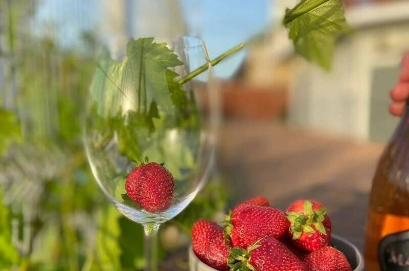 Изображение Изображение гостиницы &quot;Гостевой дом «Селена»&quot; #5 #3