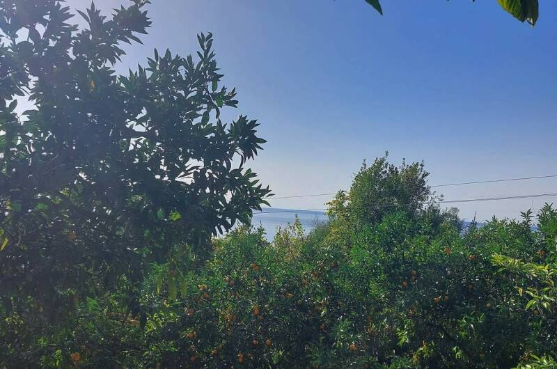 Изображение Изображение гостиницы &quot;Гостевой дом «Анюта»&quot; #11 #9