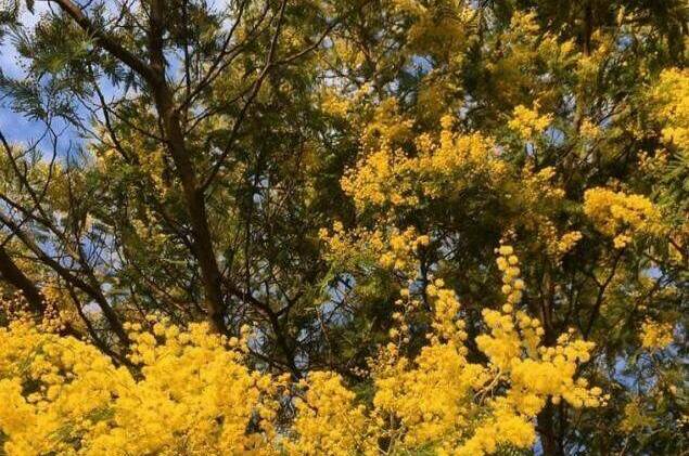 Изображение Изображение гостиницы &quot;Вилла «Эдельвейс»&quot; #4 #2