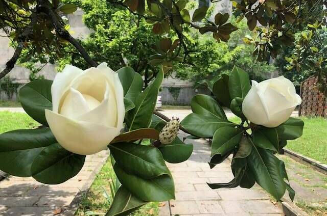 Изображение Изображение гостиницы &quot;Вилла «Эдельвейс»&quot; #5 #3