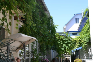 Изображение отеля / гостиницы "Частный сектор «Миндаль»"