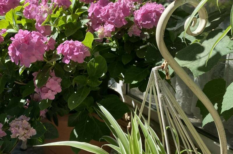 Изображение Изображение гостиницы &quot;Частный сектор «Миндаль»&quot; #3 #1