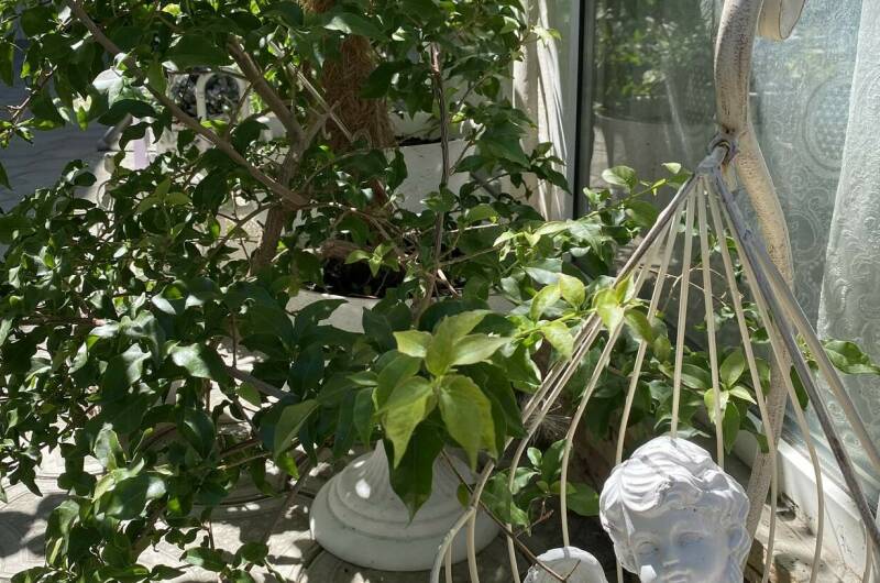 Изображение Изображение гостиницы &quot;Частный сектор «Миндаль»&quot; #8 #6