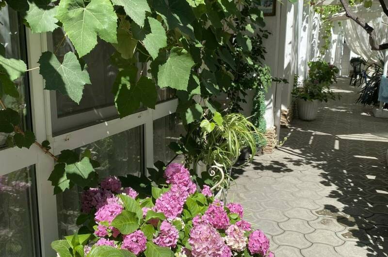 Изображение Изображение гостиницы &quot;Частный сектор «Миндаль»&quot; #10 #8