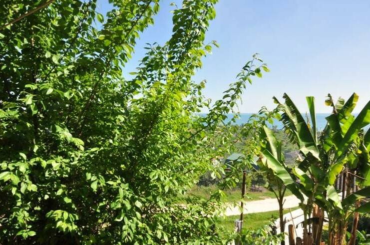 Изображение Изображение гостиницы &quot;Гостевой дом «у Гаяне»&quot; #8 #6