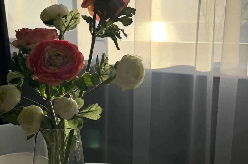 Изображение Изображение квартиры &quot;Уютная квартира с видом на море&quot; #10 #8