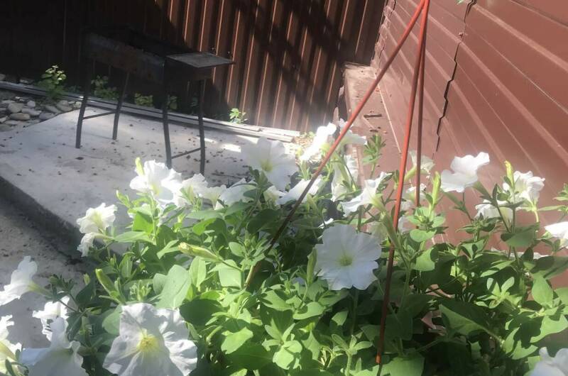 Изображение Изображение гостиницы &quot;Гостевой дом «Дом»&quot; #4 #2