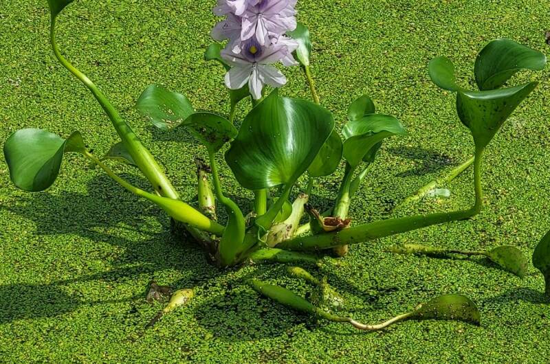 Изображение Изображение гостиницы &quot;Гостевой дом «У Озера»&quot; #4 #2