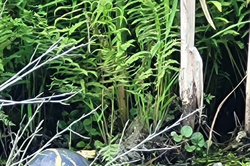 Изображение Изображение гостиницы &quot;Гостевой дом «У Озера»&quot; #11 #9