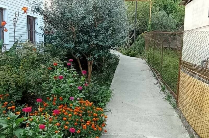 Изображение Изображение гостиницы &quot;Гостевой дом «Арди»&quot; #5 #3