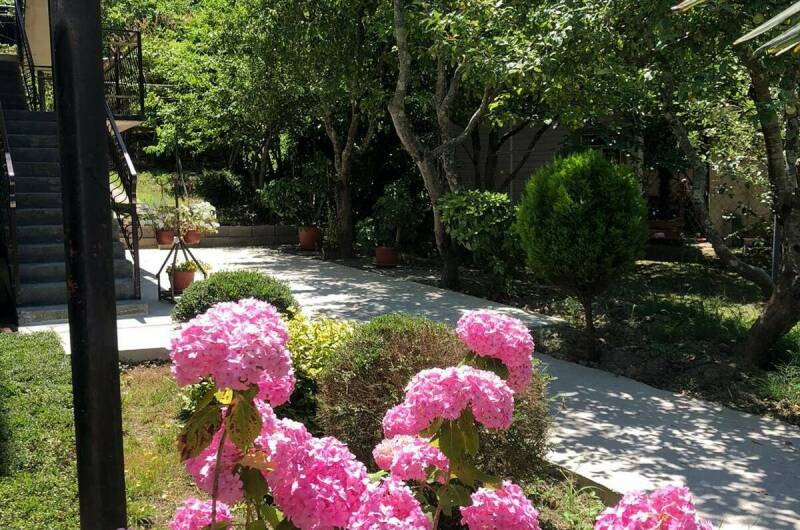 Изображение Изображение гостиницы &quot;Гостевой дом «Арди»&quot; #6 #4