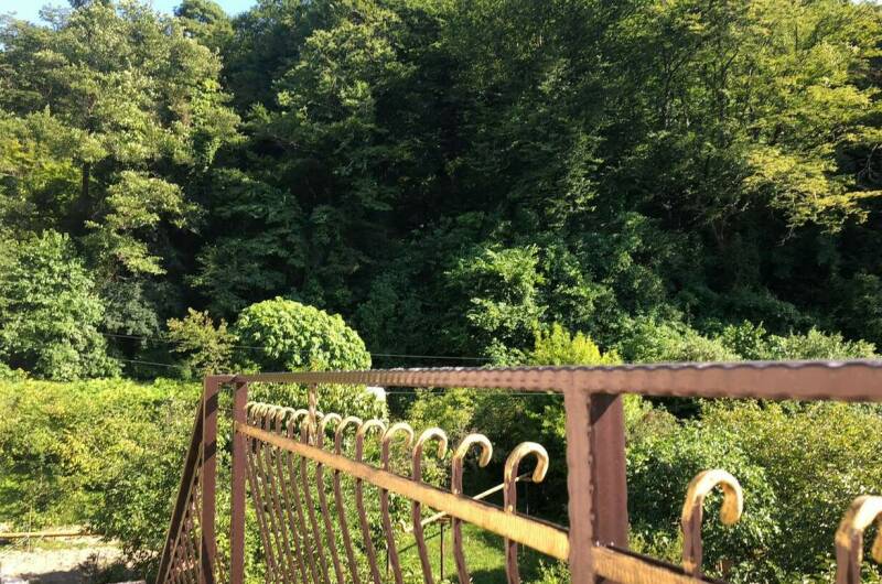 Изображение Изображение гостиницы &quot;Гостевой дом «Арди»&quot; #8 #6