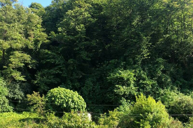 Изображение Изображение гостиницы &quot;Гостевой дом «Арди»&quot; #10 #8