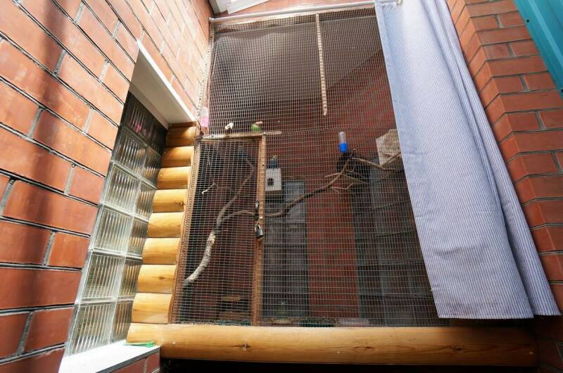 Изображение Изображение гостиницы &quot;Частный сектор на Красногвардейской&quot; #8 #6