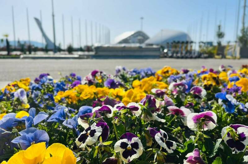 Изображение Изображение гостиницы &quot;Гостевой дом «ЦитруS»&quot; #11 #9