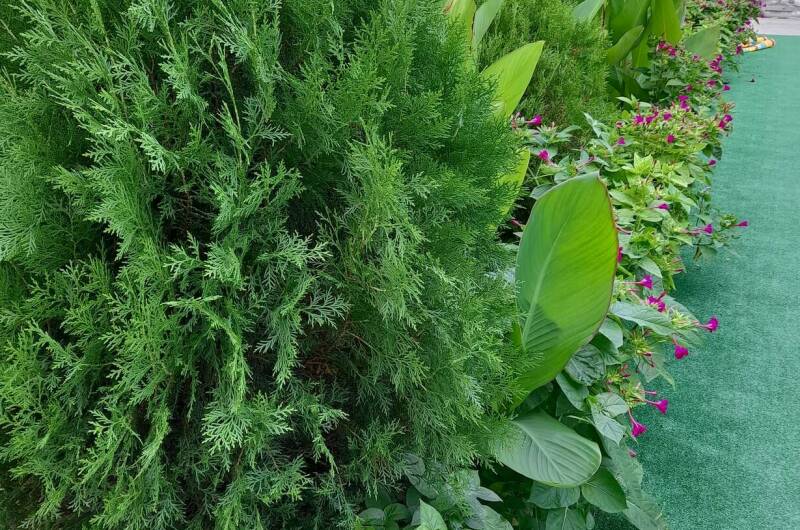 Изображение Изображение гостиницы &quot;Гостевой дом «Семейный»&quot; #7 #5