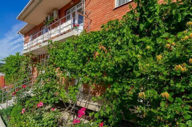 Изображение Изображение гостиницы &quot;Гостевой дом «Роза»&quot; #6 #4