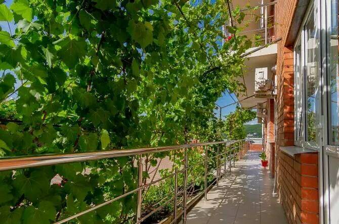 Изображение Изображение гостиницы &quot;Гостевой дом «Роза»&quot; #9 #7