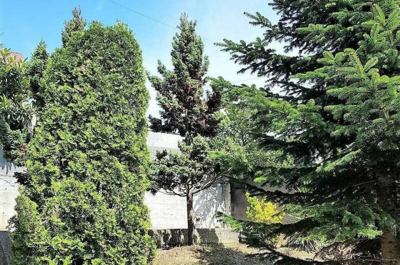 Изображение Изображение гостиницы &quot;Гостевой дом «Тропиканка»&quot; #4 #2