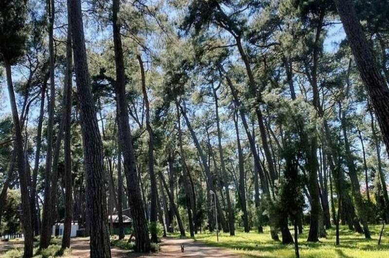 Изображение Изображение гостиницы &quot;Гостевой дом «Лдзаа»&quot; #11 #9