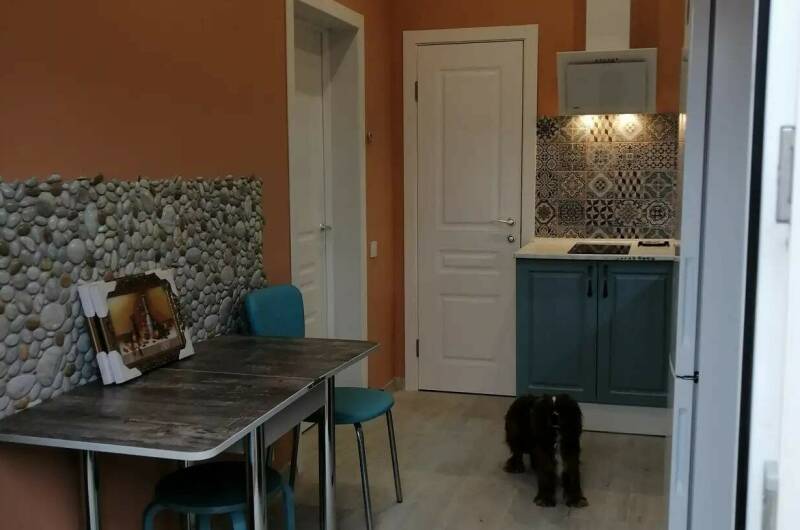 Изображение Изображение квартиры &quot;Апартаменты с отдельным входом в частном доме&quot; #8 #6