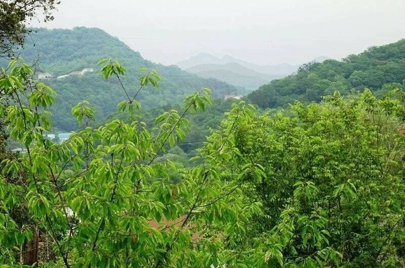 Изображение Изображение гостиницы &quot;Гостевой дом «Агава»&quot; #7 #5