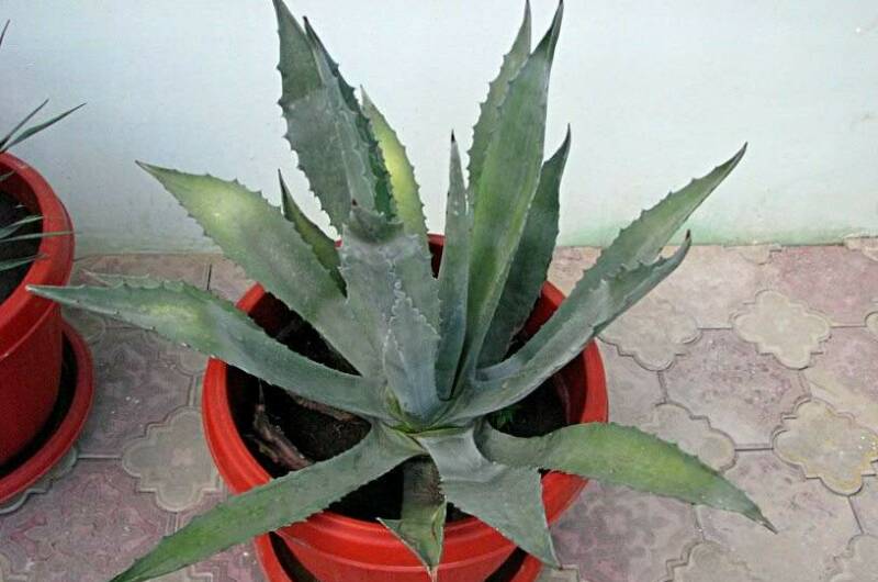 Изображение Изображение гостиницы &quot;Мини-отель «77»&quot; #3 #1