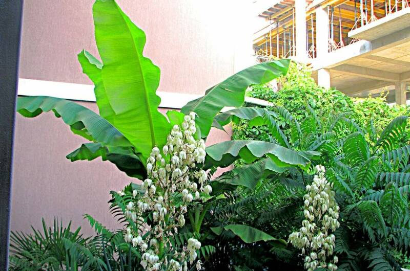 Изображение Изображение гостиницы &quot;Мини-отель «77»&quot; #9 #7