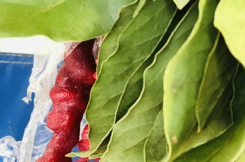 Изображение Изображение гостиницы &quot;Гостевой дом «Del Mar»&quot; #4 #2