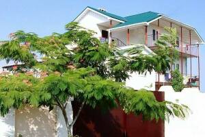 Изображение отеля / гостиницы "Частное домовладение «Оазис»"