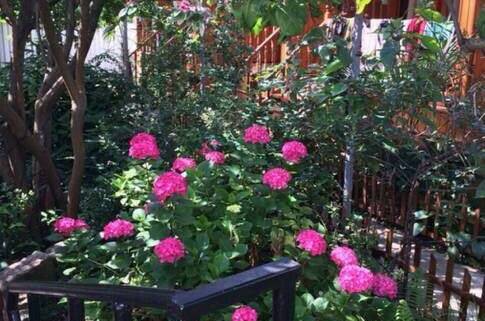 Изображение Изображение гостиницы &quot;Гостевой дом «Авраам отдыхает»&quot; #10 #8