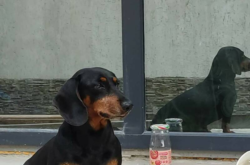 Изображение Изображение гостиницы &quot;Гостевой дом «Кудыкина гора»&quot; #5 #3