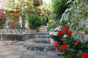 Изображение отеля / гостиницы "Домики «Ольга»"