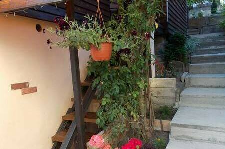 Изображение Изображение гостиницы &quot;Домики «Ольга»&quot; #3 #1