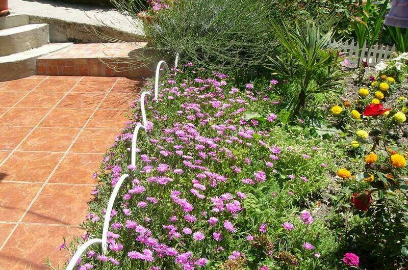 Изображение Изображение гостиницы &quot;Домики «Ольга»&quot; #10 #8