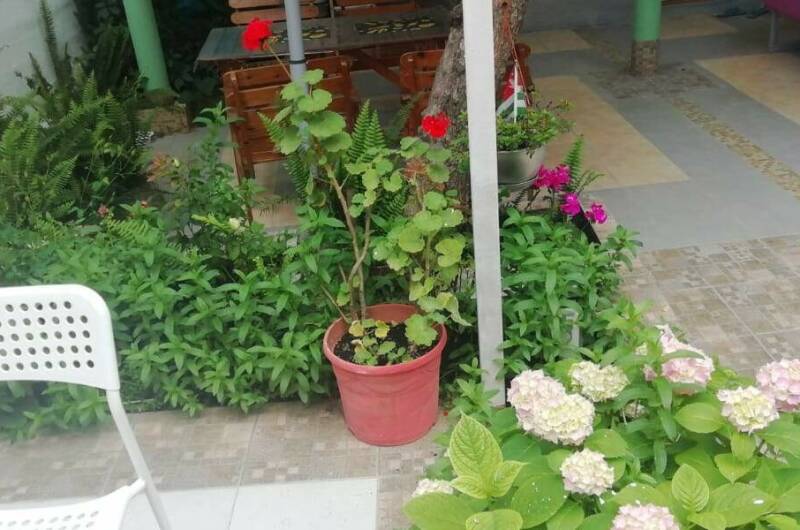 Изображение Изображение гостиницы &quot;Гостевой дом «У Седы Сергеевны»&quot; #6 #4